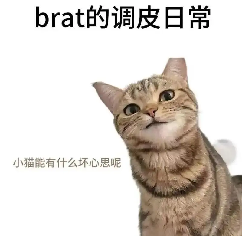 【西檬之家】字母圈新人入门：理解BDSM的核心术语与安全准则