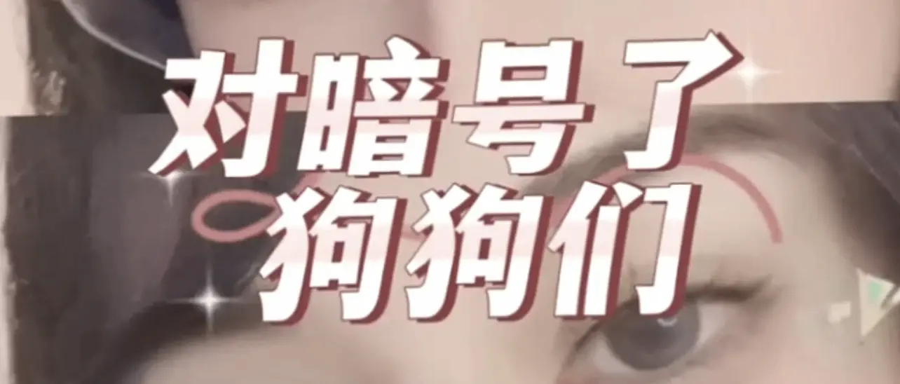 【西檬之家】字母圈的Aftercare：BDSM中不可忽视的安全闭环