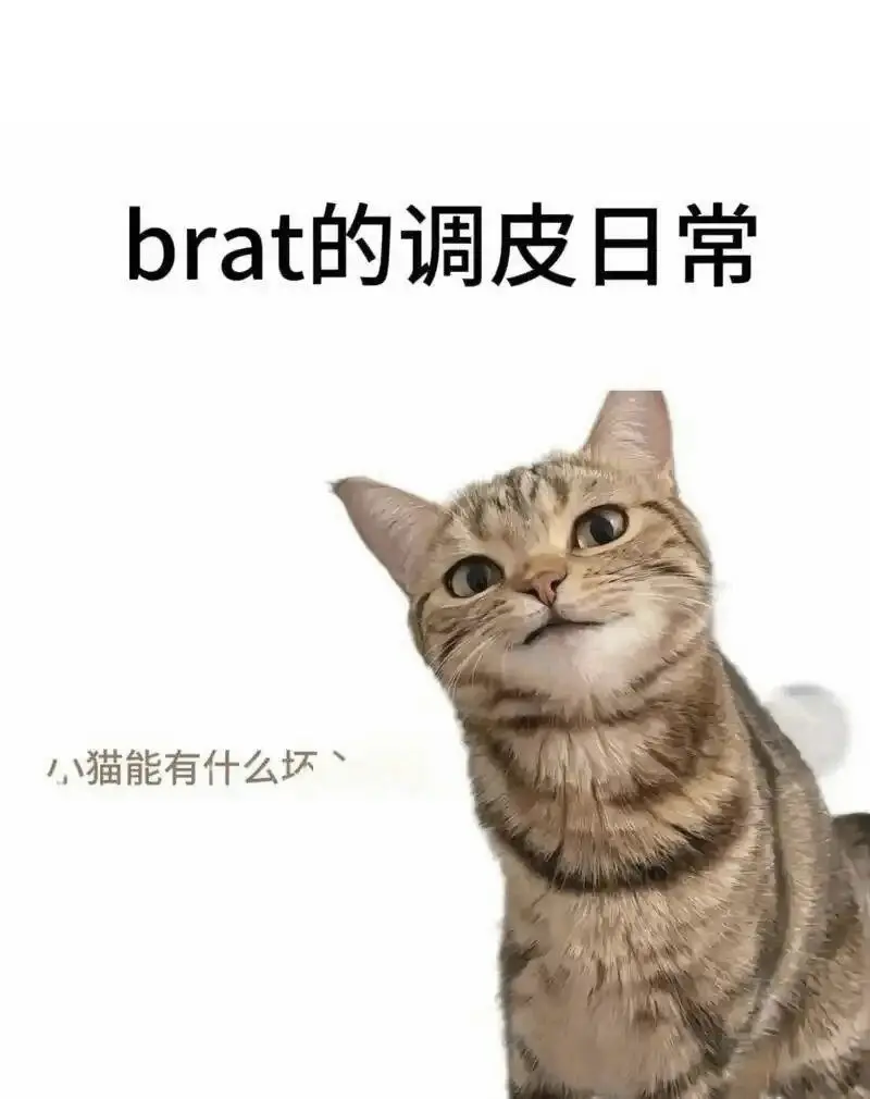 tickle - 2025-11-13 192048