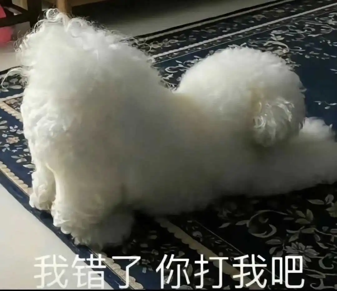 西檬之家-Brat属性解析：字母圈新人的权力游戏指南