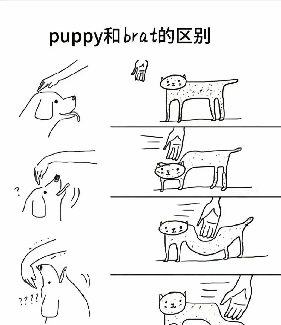 西檬之家-OTK是什么？字母圈新人入圈指南