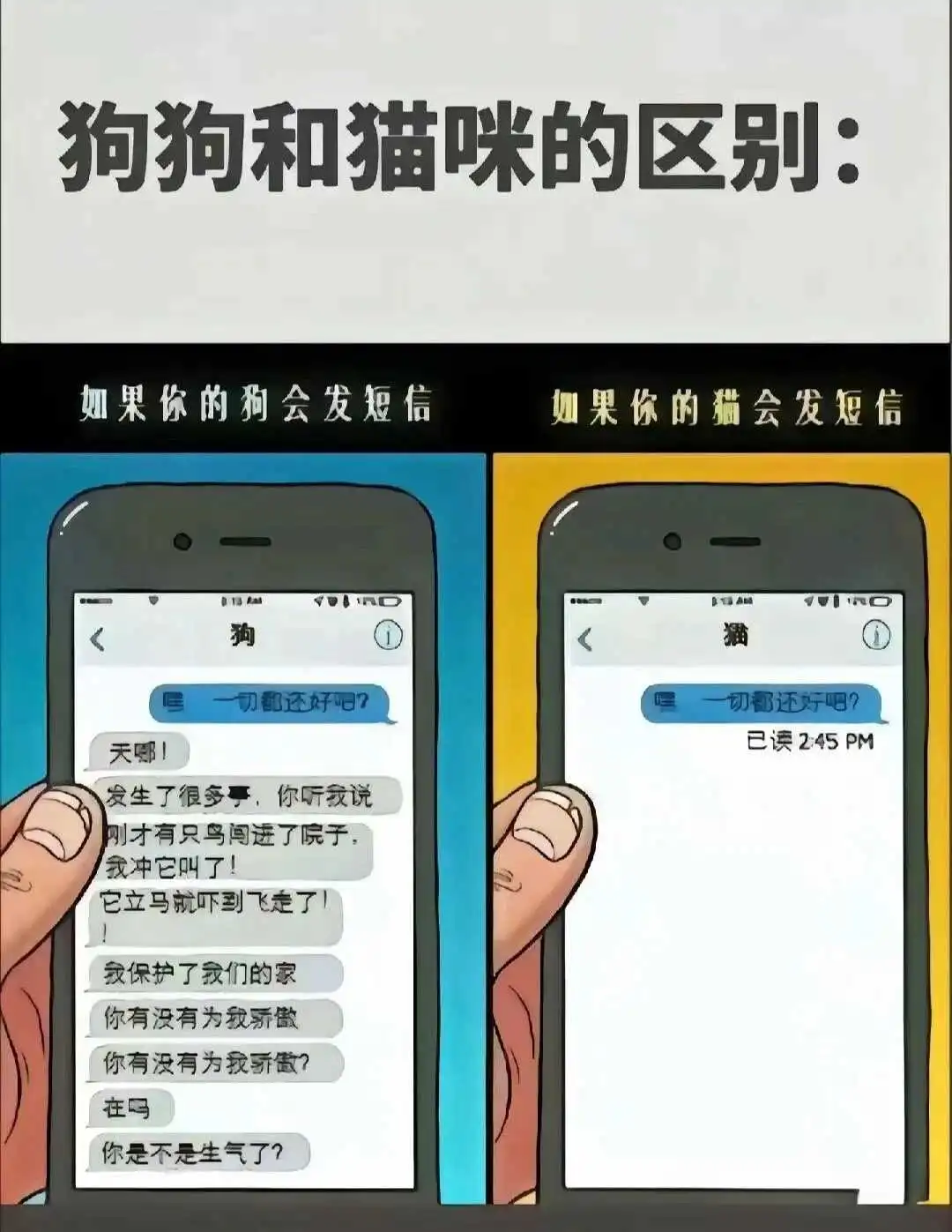 西檬之家-字母圈新人如何入圈？