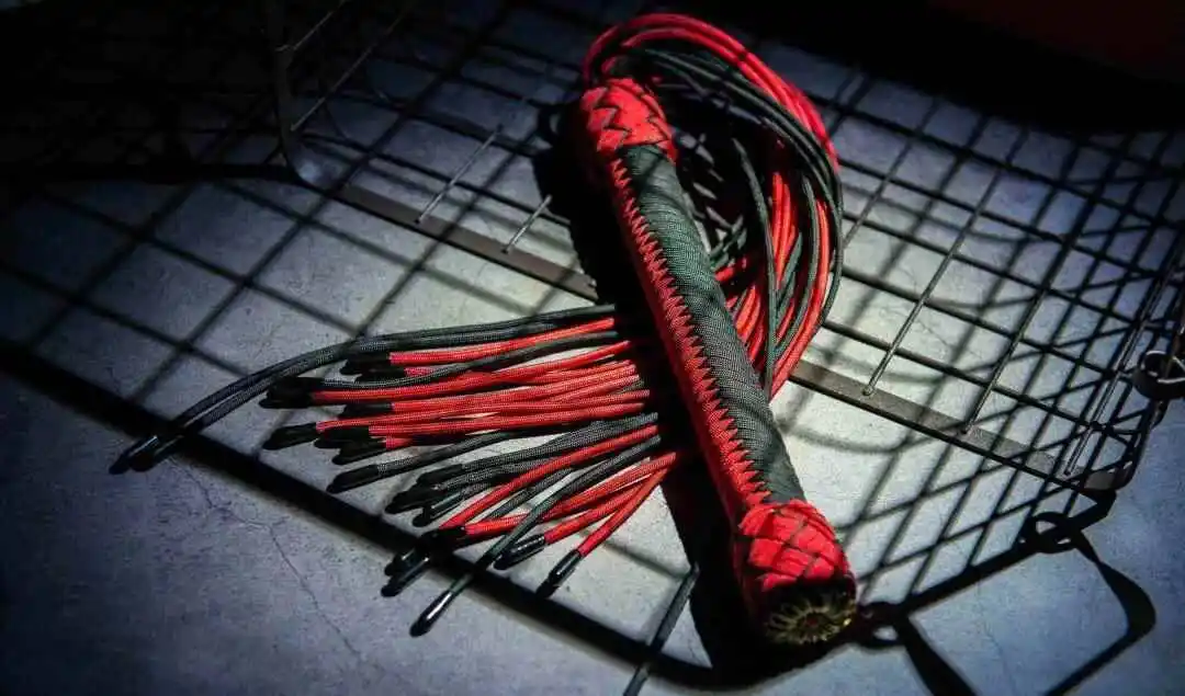 【西檬之家】字母圈新人必读：BDSM概念解析与安全入门指南